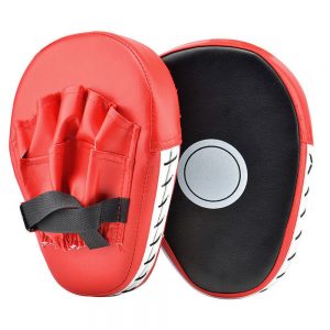 Focus Mitts