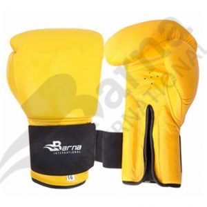 Boxing Gloves | BI – 607